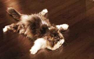 Средства по уходу за паркетом