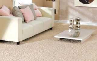 Чем почистить светлый ковролин