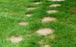 Как сделать садовую дорожку из самодельной плитки