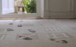 Сухой порошок для чистки ковролина