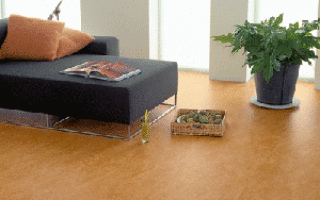 Как выбрать линолеум для дома