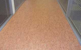 Линолеум в коридор