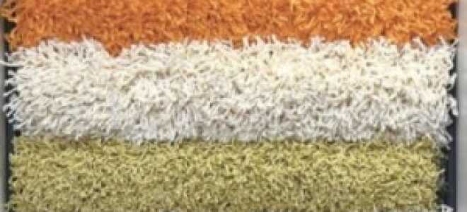 Какой ковролин лучше для дома