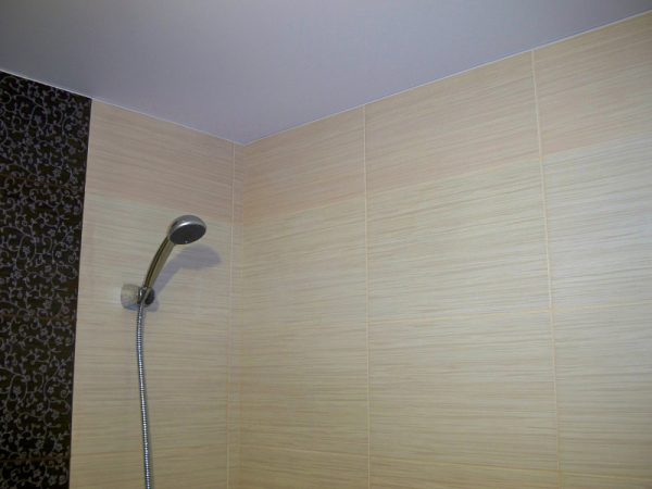 Потолок без отделки